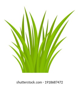 Green grass in cartoon style, bright herb isolated on white background. Season natural wild plant, design element, game asset. 