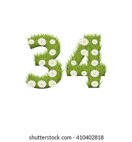 Green grass with chamomile flowers font isolated on white background. For design of nature, organic,ecology,health,spring and summer.