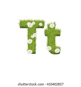 Green grass with chamomile flowers font isolated on white background. For design of nature, organic,ecology,health,spring and summer.