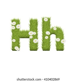 Green grass with chamomile flowers font isolated on white background. For design of nature, organic,ecology,health,spring and summer.