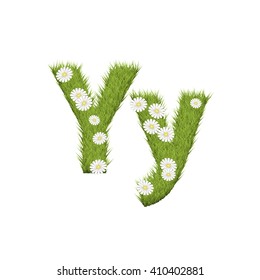 Green grass with chamomile flowers font isolated on white background. For design of nature, organic,ecology,health,spring and summer.