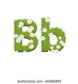 Green grass with chamomile flowers font isolated on white background. For design of nature, organic,ecology,health,spring and summer.