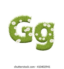 Green grass with chamomile flowers font isolated on white background. For design of nature, organic,ecology,health,spring and summer.