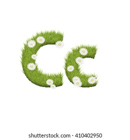 Green grass with chamomile flowers font isolated on white background. For design of nature, organic,ecology,health,spring and summer.