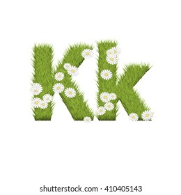 Green grass with chamomile flowers font isolated on white background. For design of nature, organic,ecology,health,spring and summer.