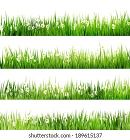 Green grass and chamomiles in the nature. And also includes EPS 10 vector
