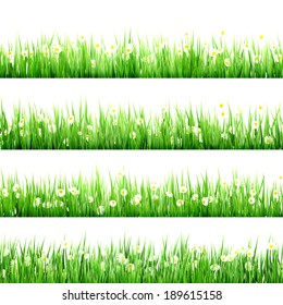 Green grass and chamomiles in the nature. And also includes EPS 10 vector