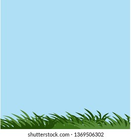green grass and clear sky