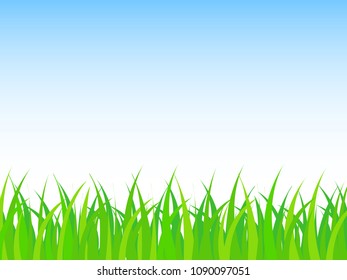 Green grass and clear sky vector illustration background