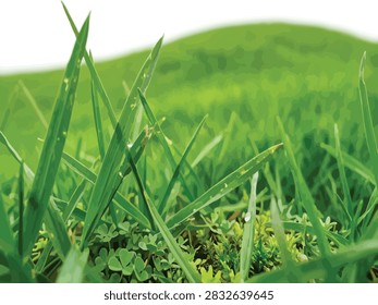 Green grass close up texture – fresh lawn blades concept