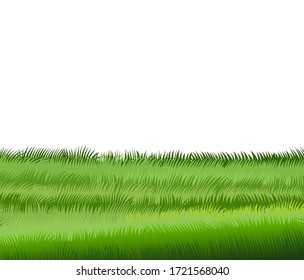 Green grass. Close-Up Vector. Isolated on a white background. Horizontal landscape composition. Summer, spring lawn,  relief.