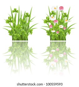 Green grass with clover and camomile flowers