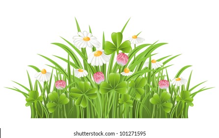 Green grass with clover and camomile flowers