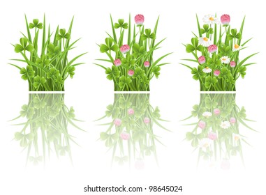 Green grass with clover and camomile flowers