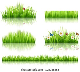 Green grass collection