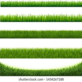 Green Grass Collection Border Isolated White Background With Gradient Mesh, Vector Illustration