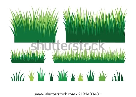 Green grass collection. landscape design element set. Vector illustration