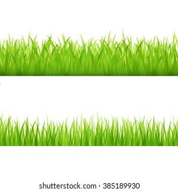 Green grass collection. Set of fresh green spring grass borders  for use as design elements on white. Vector illustration.
