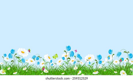 Green grass and colorful spring flowers.