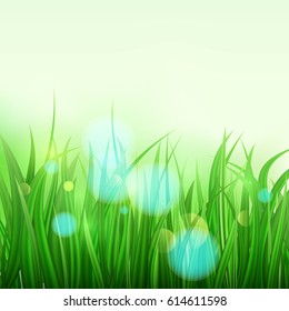 Green grass. Colorful sunset or sunrise. Spring or summer bokeh background. Vector Illustration.