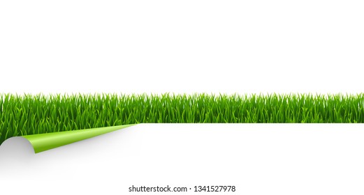 Grasa Verde Con Esquina Verde Con Malla De Gradiente, Ilustración Vectorial