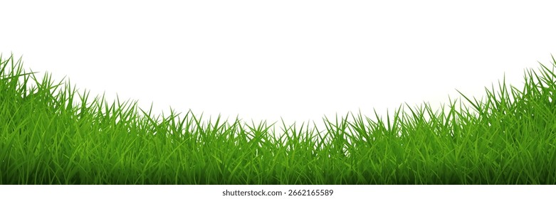 Grüne Graskurve, Bogenrand einzeln. Vektorgrafik