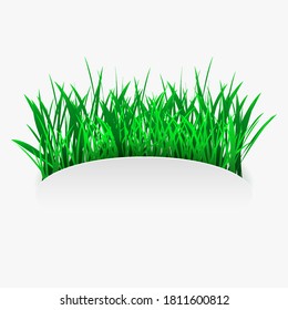 Green grass in in cut out paper style. Eco and environment design element. Vector EPS10