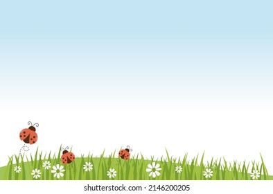 Green grass with daisy flower and ladybug cartoons on blue sky background vector illustration. Beautiful Summer Scene.
