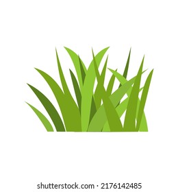 Green grass, Dark green grass isolated on white background, vector illustration.