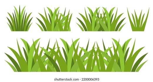 hierba verde, hierba verde oscura aislada en fondo blanco, ilustración vectorial.