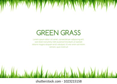 Green grass decorative elements. Top and down borders