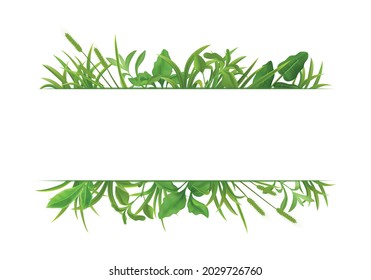 Green grass decorative realistic horizontal double border frame pattern on white with cereal plants leaves vector illustration