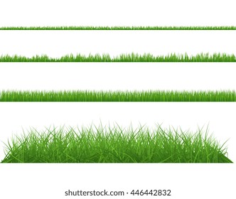 Green grass dense big and small. Set planting of greenery on white background.