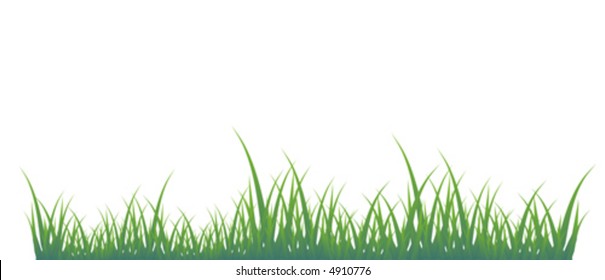 Green grass of different shades on a white background. It is very convenient to use this picture for a background or in your collage.