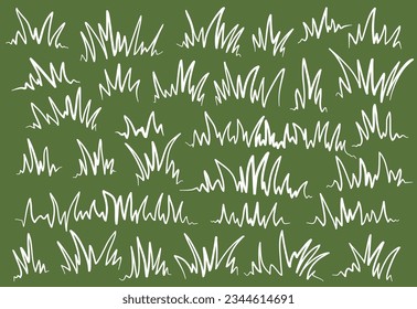 green grass. doodle grass illustration. grass outline illustration. set of handrawn grass.