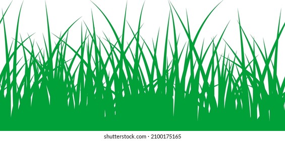 Green grass. Eco organic symbol. Natural seamless pattern