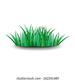 green grass. element design. vector illustration