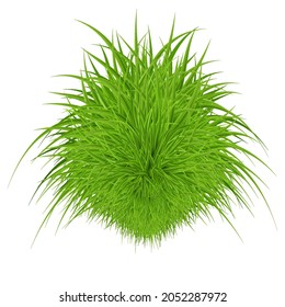 Green Grass Element as a Natural Symbol of Ecology and Clean Energy Icon. Eco-Friendly Styled Element for Natural Products on White Background