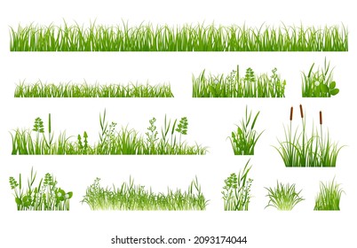 Green grass elements. Gardening elements, spring garden greeny meadow. Plants and weeds, reeds and flowers. Isolated nature exact vector set