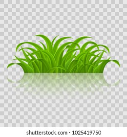 Green grass Elements for Spring or Nature Design. Illustration on Transparent Background for Design