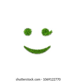 Green grass face wink smile. Smiley grassy emoticon icon, isolated white background. Happy smiling sign. Symbol ecology, eco lawn, safe nature, happy emotion, fresh spring Vector illustration