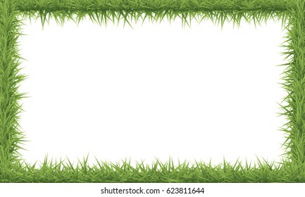 Green grass field background. Frame of grass, vector illustration.