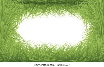 Green grass field background. Frame of grass, vector illustration.