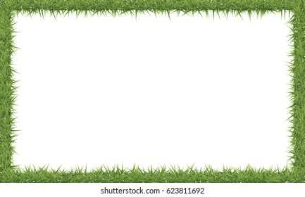 Green grass field background. Frame of grass, vector illustration.