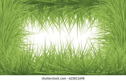 Green grass field background. Frame of grass, vector illustration.