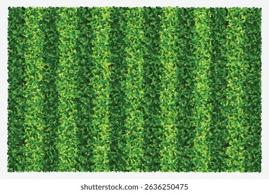 Green grass field background for sports and recreation. Realistic green lawn pattern and texture for background. Vector illustration.
