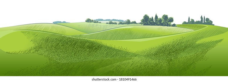 Green grass field hills. Meadow, alkali, lye, grassland, pommel, lea, pasturage, farm. Rural scenery landscape panorama of countryside pastures. Vector watercolor realistic illustration