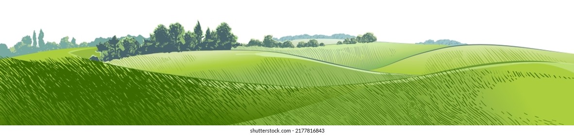 Green grass field hills. Meadow, alkali, lye, grassland, pommel, lea, pasturage, farm. Rural scenery landscape panorama of countryside pastures. Vector watercolor realistic illustration