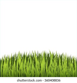 Green grass field. Isolated on white background. Vector illustration.