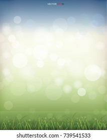 Green grass field with light blurred bokeh for background. Vector illustration.
